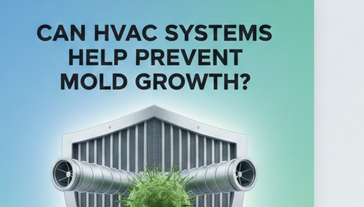 Can HVAC Systems Help Prevent Mold Growth?